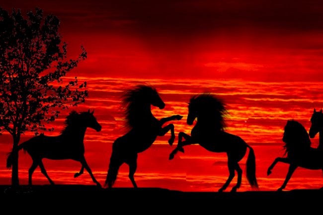 Sürünün uyumu, avın büyüklüğüyle test edilir. 