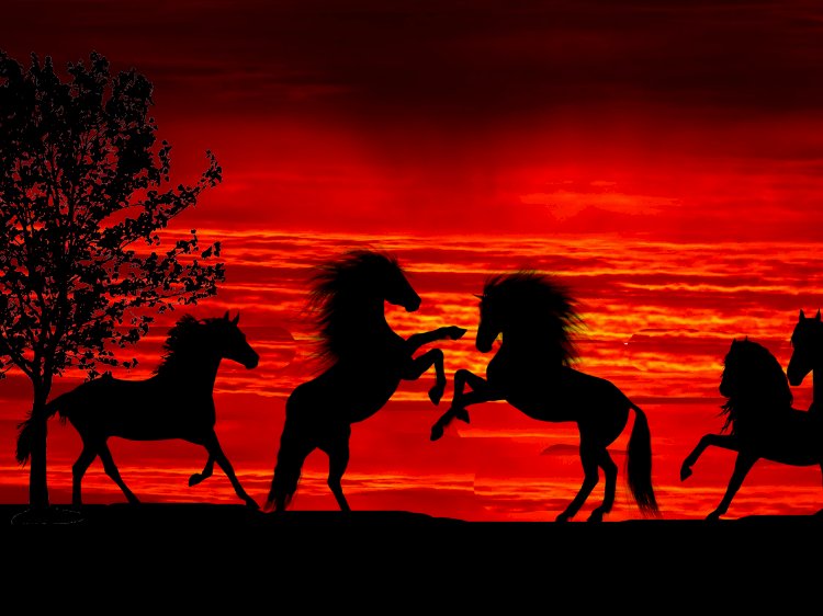 Sürünün uyumu, avın büyüklüğüyle test edilir. 